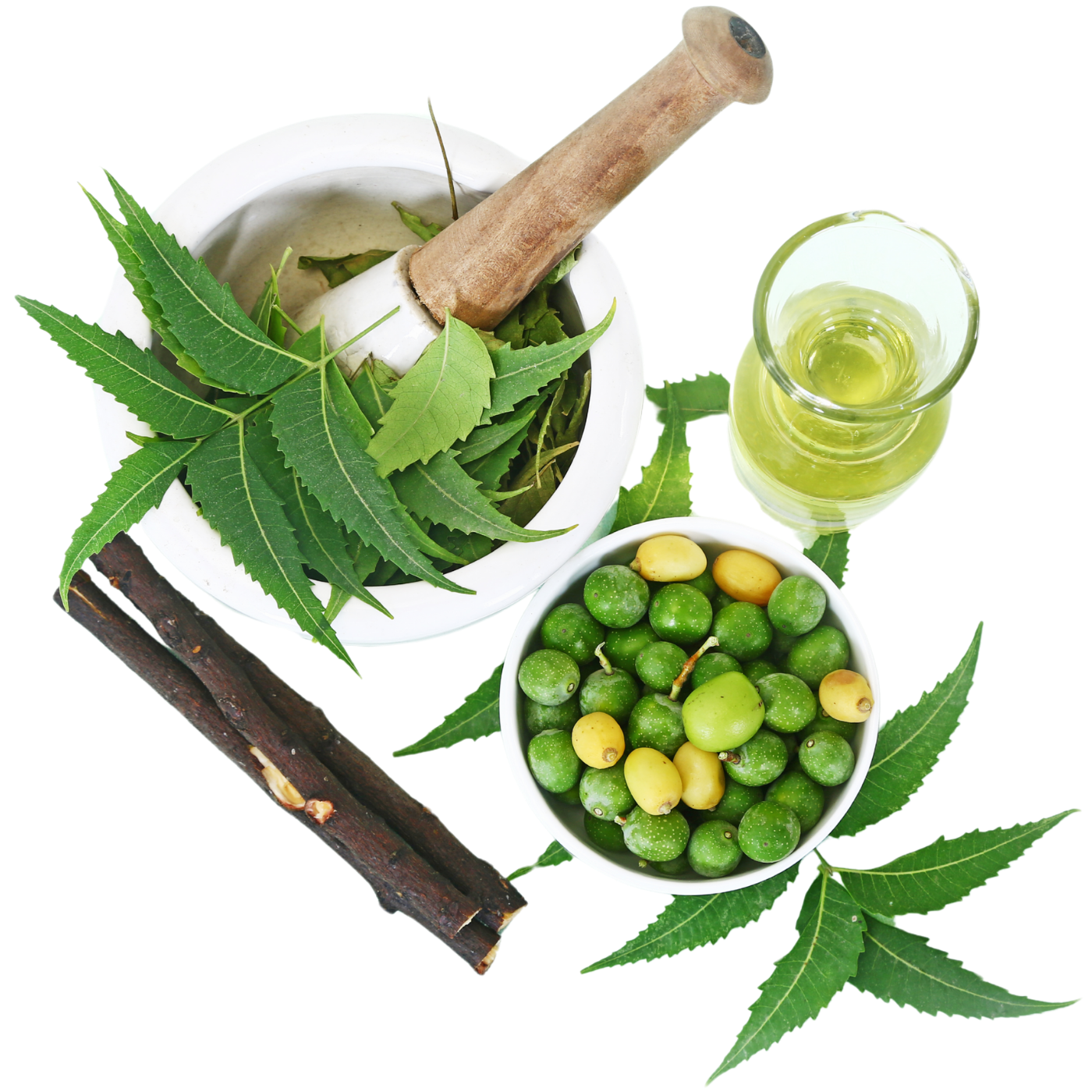 Equenatural Shampoo Nourishing Neem Equenatural Shampoo Nourishing Neem