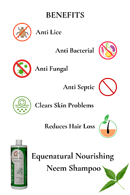 Equenatural Shampoo Nourishing Neem Equenatural Shampoo Nourishing Neem